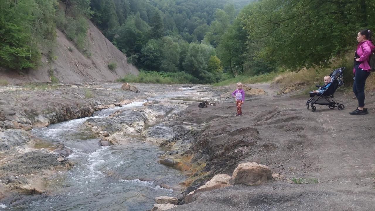 Садиба Федорчуків За Рікою Sheshory Ngoại thất bức ảnh